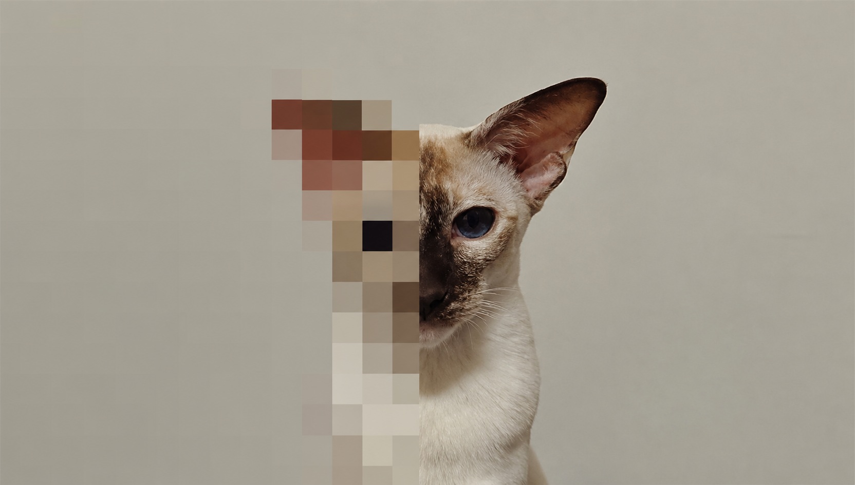 Cat-astrophic before and crystal after